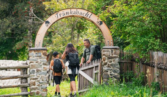 Entlang des Mühlenwegs "Tränkabachl"