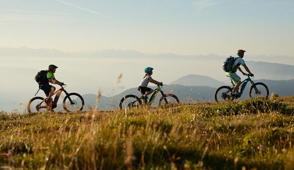 e-MTB: Feldthurner Almentour
