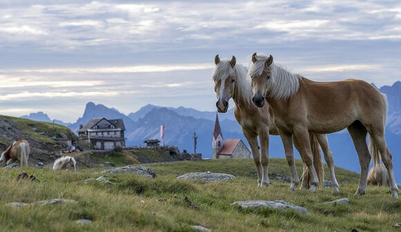 Wanderbus Latzfons - Parkplatz Kaseregg