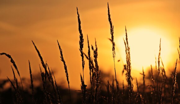 Sunset Aperitrekking