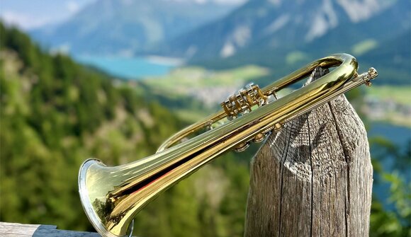 Escursione sulla malga con concerto