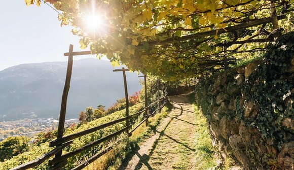 Geschichten im Glas: Dorfführung