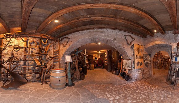 Visita al "Hoamet Tramin Museum"