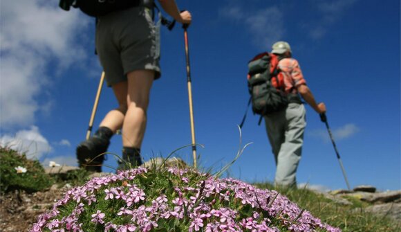 Nature Adventure Hiking