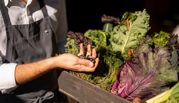 Mårtiner Genuss Marktl in St. Martin