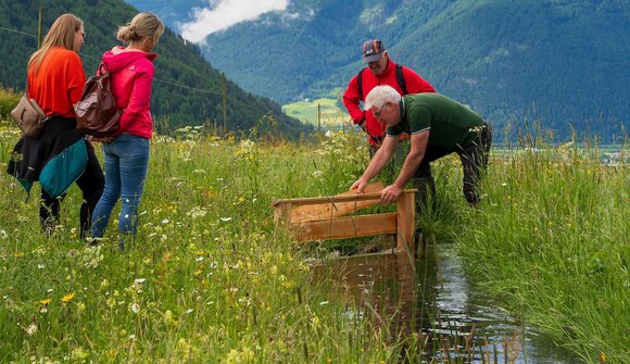 Wiesnwassern - Waale Malser Haide
