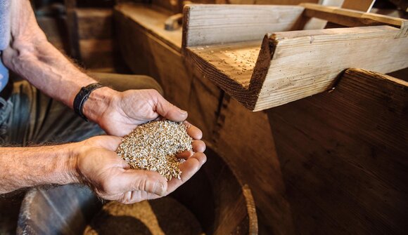 Höfe hautnah: Besichtigungen