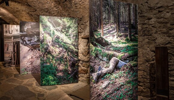 Passeier und seine Partisanen