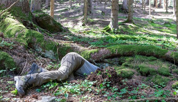 Gras drüber: Fotoabend und Lesung