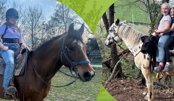 Festa dei cavalieri amatoriali