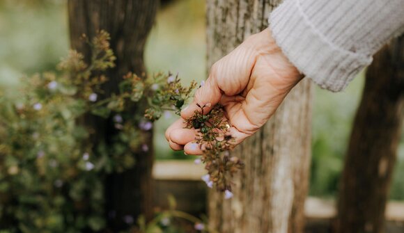 Kneipp dich glücklich