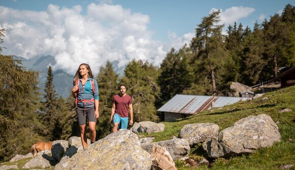 Guided hiking tour "Ifingerhütte"