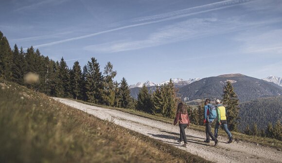 Passeggiata allo Strudelkopf