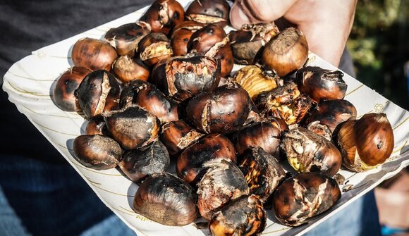 Törggelefest of the ASV Eppan Ski