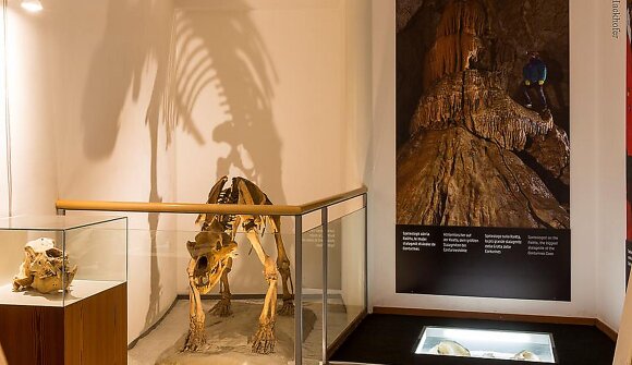 Visita guidata Centro visite