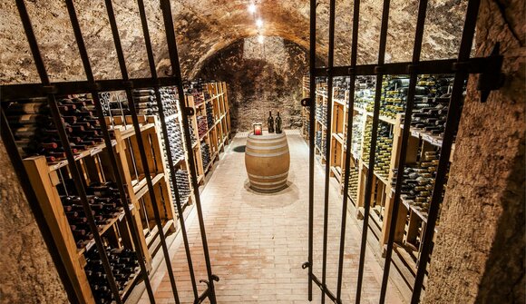Wine Cellar Night 2024 - Montagna