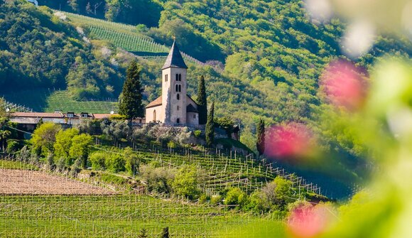 Jakobifest - Kirchtag