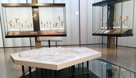 Ornithologischer Abend