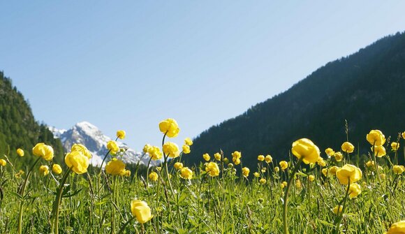 Parco Nazionale dello Stelvio