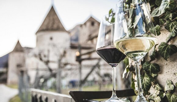 Visita guidata: Bolzano, città del vino