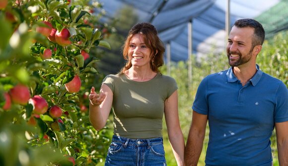 Apple tour on the Apple trail