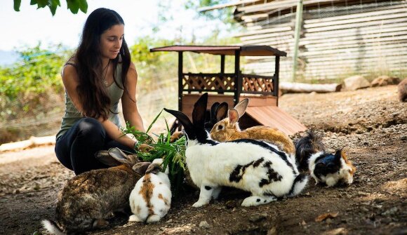 Begegnung mit den Tieren am Bauernhof