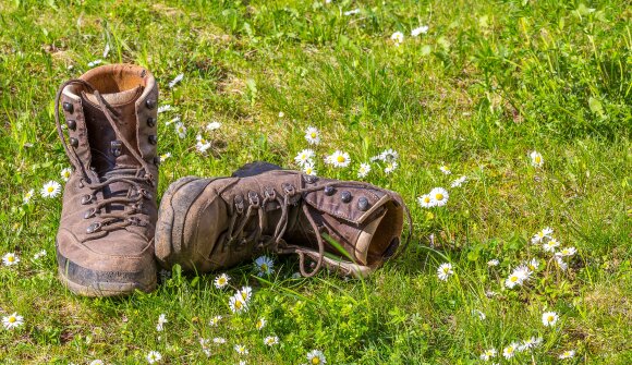Blooming alpine flowers around Medalges
