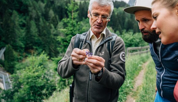 Nature Adventure Hiking