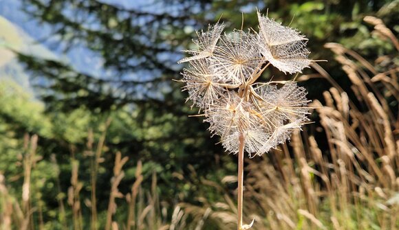 "Wort, das Leben hilft"