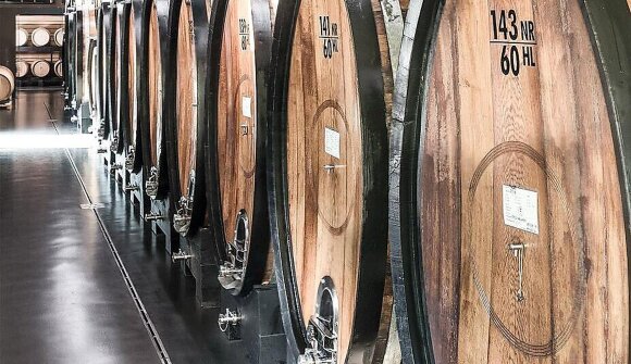 Visita guidata della Cantina di Merano