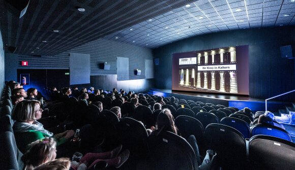 Kino "Tagebuch einer Biene"