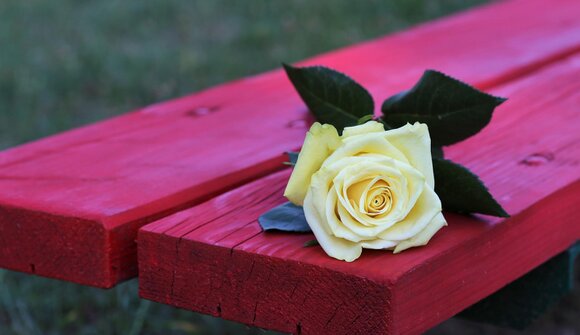 Ferite a morte: Serena Dandini