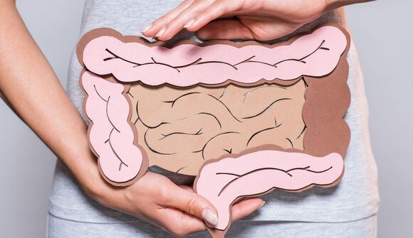 Der Darm - Das Zentrum Ihrer Gesundheit