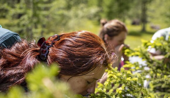 Achtsames Gehen im Bergwald