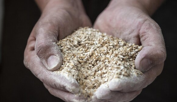 Brauereibesichtigung - Forst