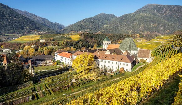 Zwischen Reben und Klostermauern