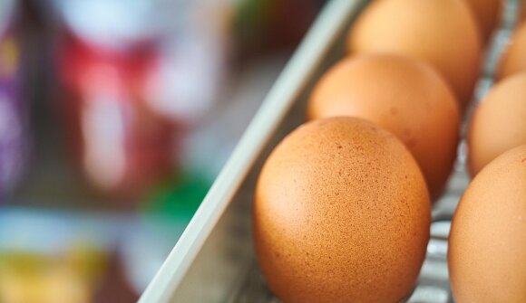 Chi è nato prima, l'uovo o la gallina?