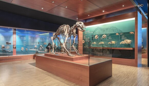 15 anni Museum Ladin Ursus ladinicus