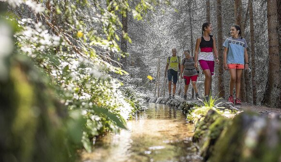 Nature Adventure Hiking