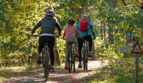 E-Bike: Alta Val di Non – Mendelpass