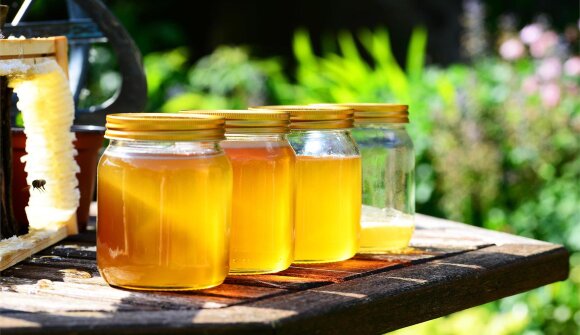 La vita delle api dal fiore al vasetto