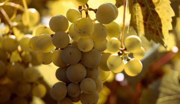 Eroica Val di Non 2025