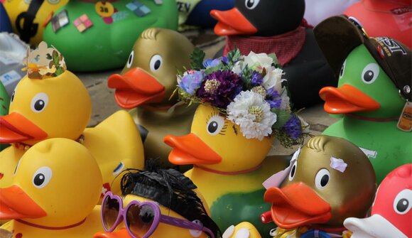 6. Duck race Meran