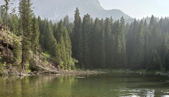 Wanderung durch das Latemar Labyrinth