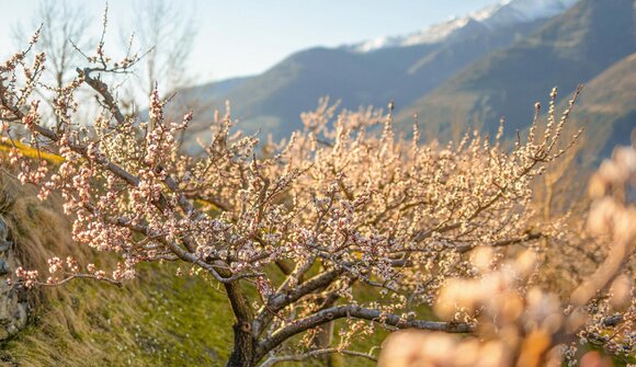 Frühlingswanderung im Nationalpark