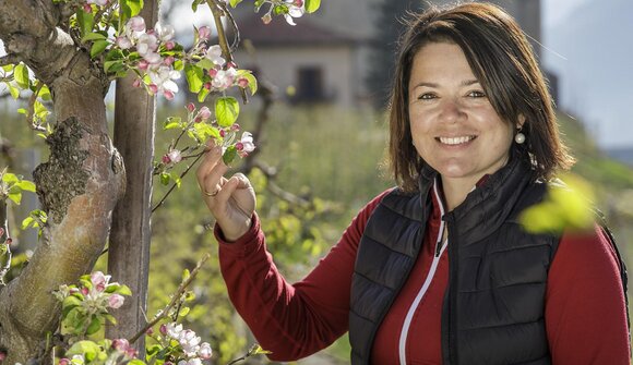 Picknickgenuss in den Weinbergen