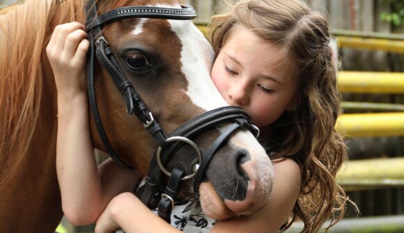 Games and fun at the riding stable