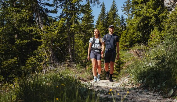 Geführte Wanderung über den Taltbühl