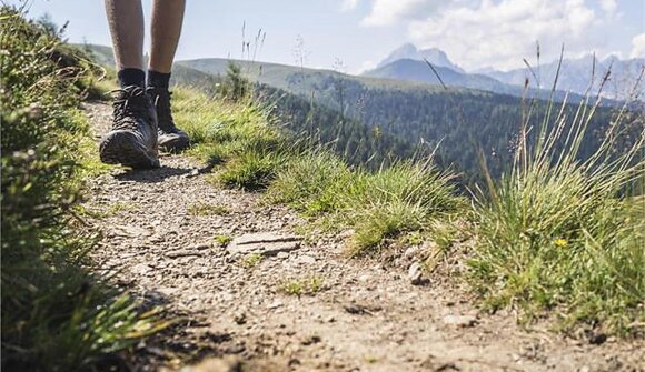 Wanderung: Naturpark Trudner Horn