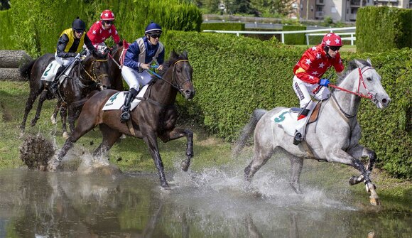 Horse races at the Merano Racecourse